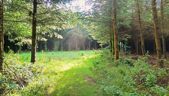 Lobhill Farmhouse Bed And Breakfast And Self Catering Accommodation Okehampton Quarto foto