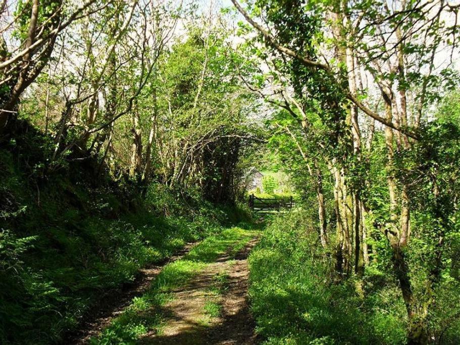 Lobhill Farmhouse Bed And Breakfast And Self Catering Accommodation Okehampton Quarto foto