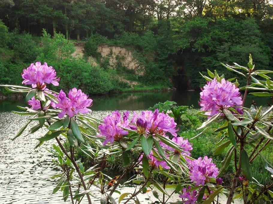 Lobhill Farmhouse Bed And Breakfast And Self Catering Accommodation Okehampton Quarto foto